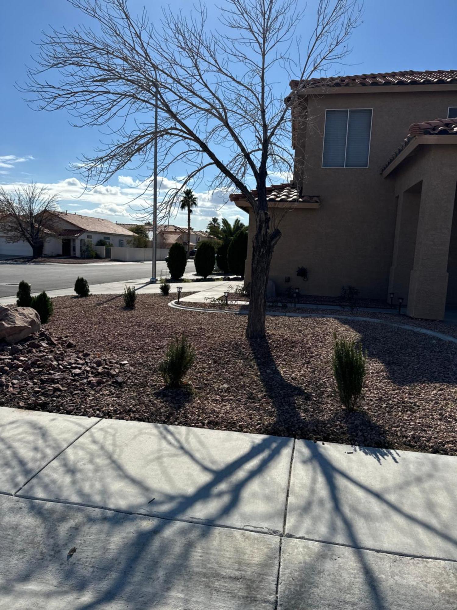 Paradise Las Vegas Zewnętrze zdjęcie